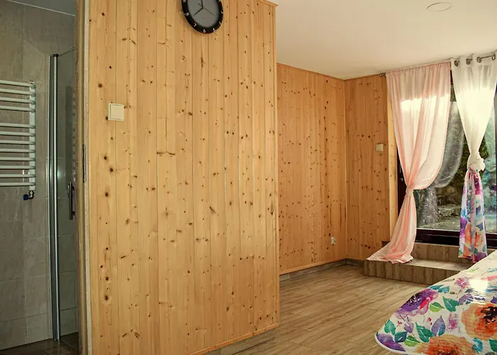 In Gorna With Sauna * برودينيسا