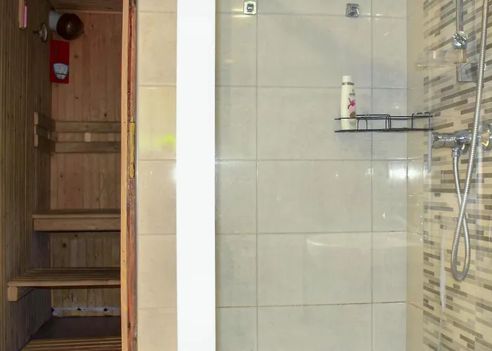 In Gorna With Sauna برودينيسا